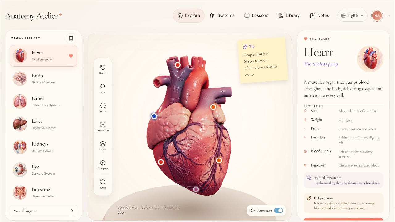 Screenshot of Anatomy Atelier