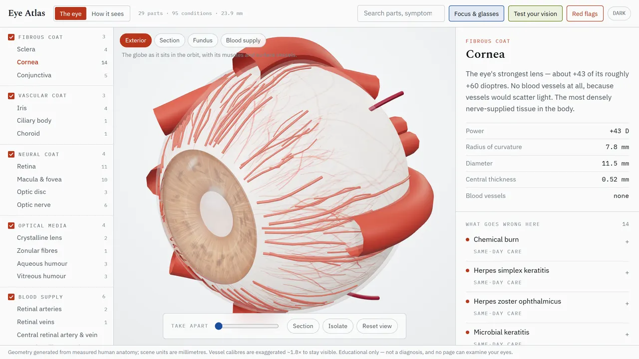 Screenshot of Eye Atlas