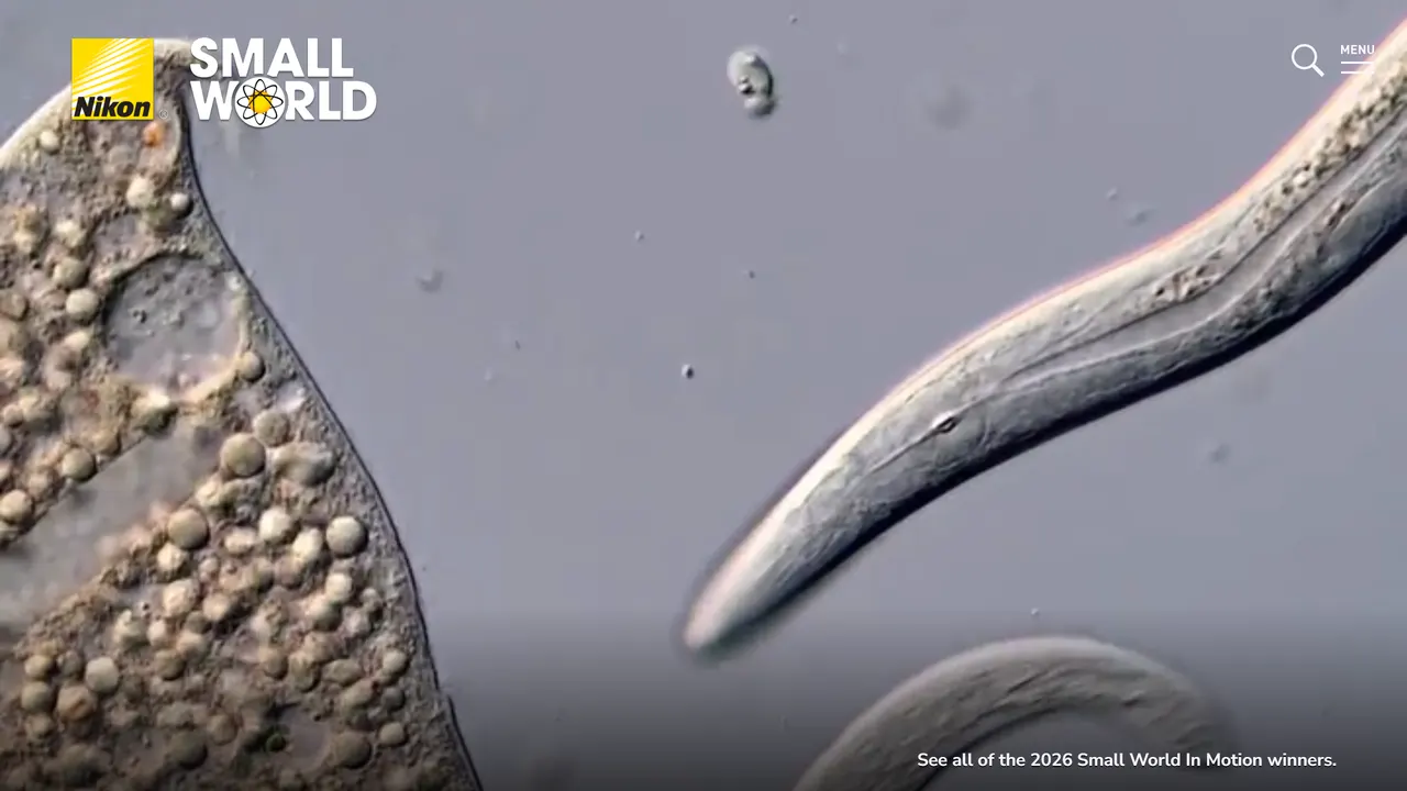 Screenshot of Nikon Small World
